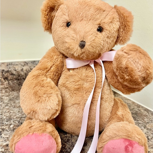 Adorable Bear with Voice Recorder NWT - Picture 7 of 9